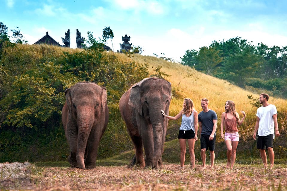 Experimenta el cuidado de los elefantes en el zoo de Bali