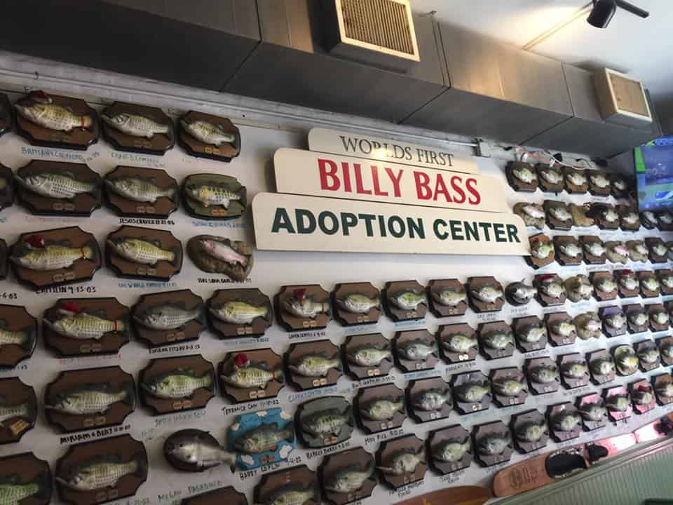Centro de adopción de Billy Bass, Little Rock