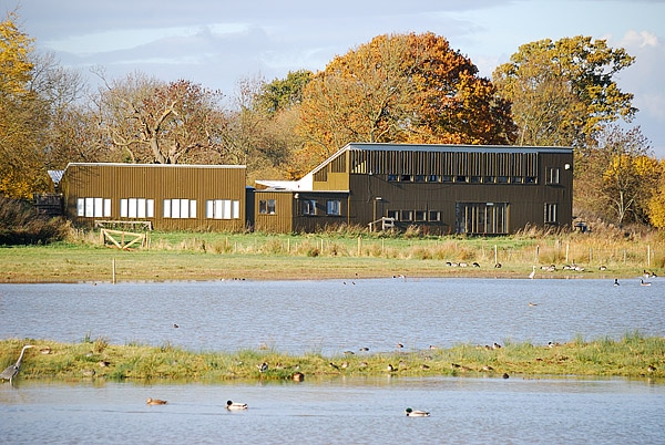 Observatorio de Aves acuáticas Anglianos
