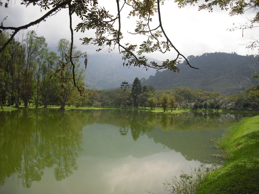 Jardines del lago Taiping