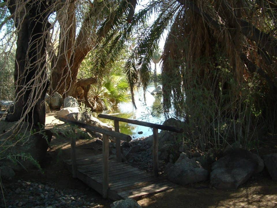 Jardín de conservación de Yuma