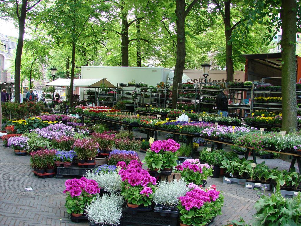 Mercado de flores de Janskerkhof