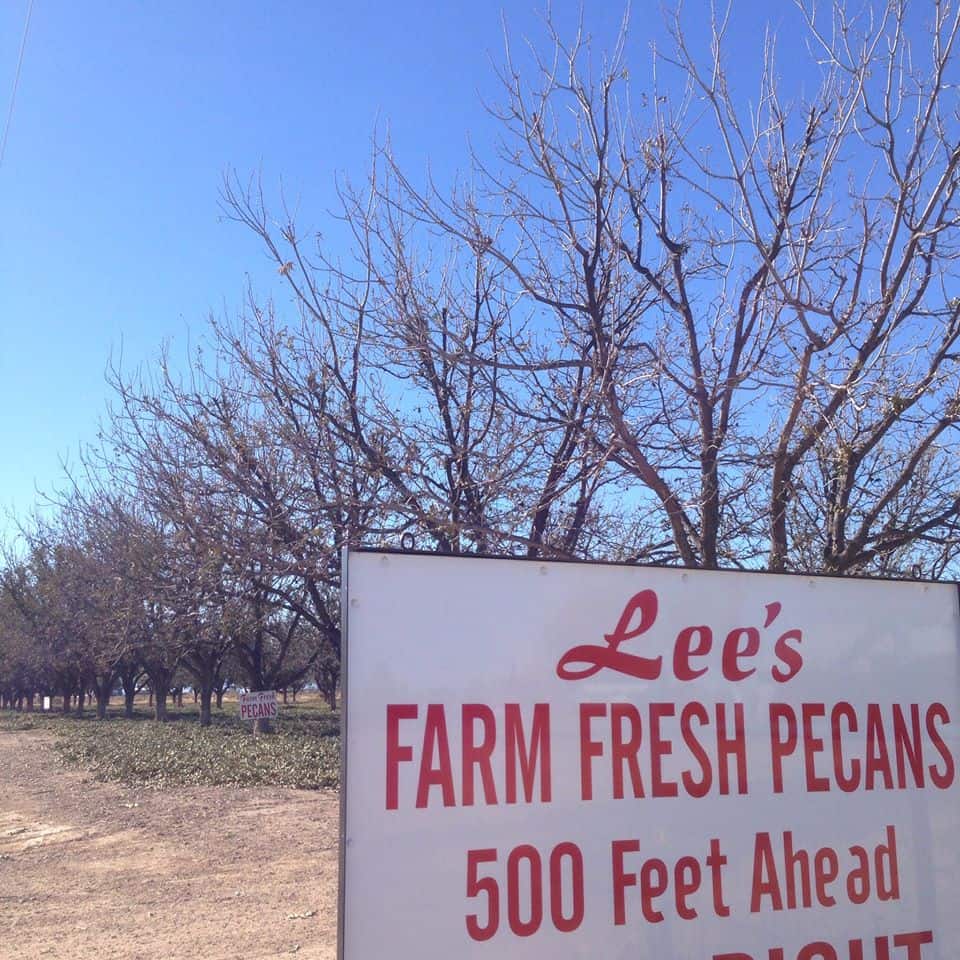 Lee's Pecan Farm