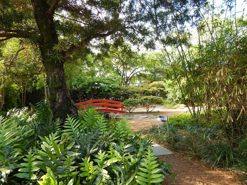Jardines botánicos de Miami Beach