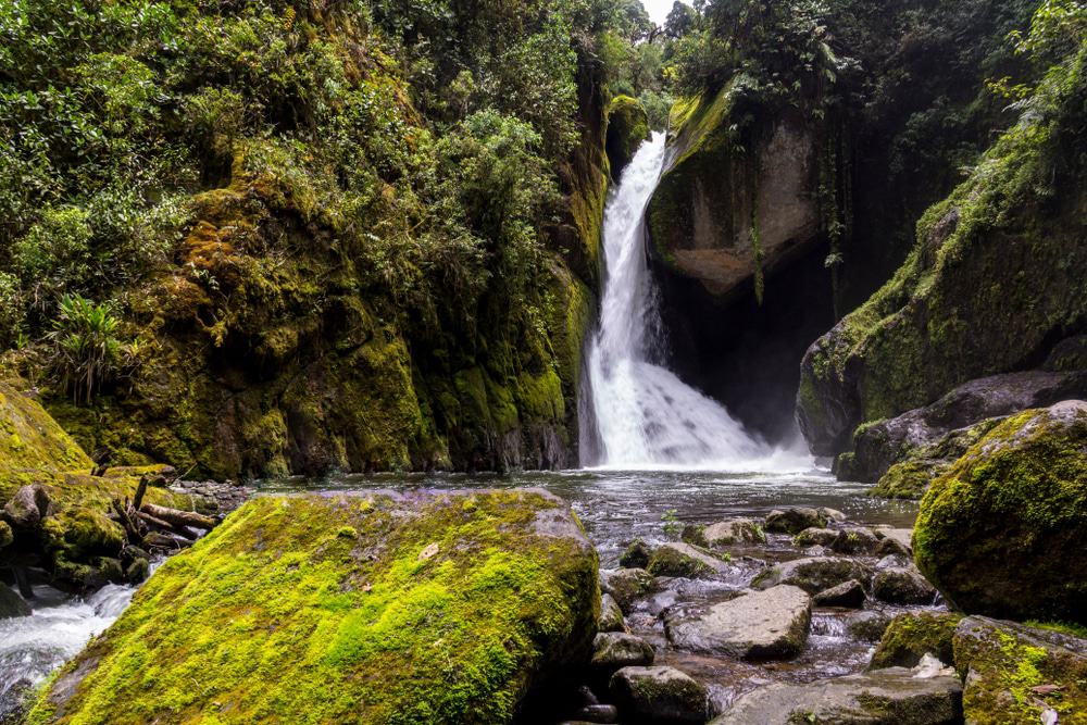 Savegre Falls, Costa Rica