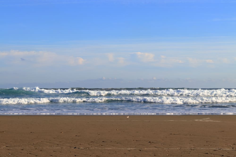 Playa de Irino