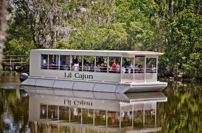 Visita turística a los pantanos y Bayou en paseo en barco