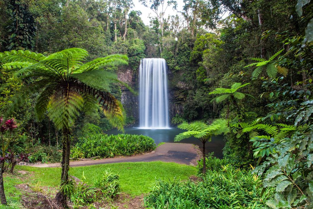 Millaa Millaa Falls, Australia