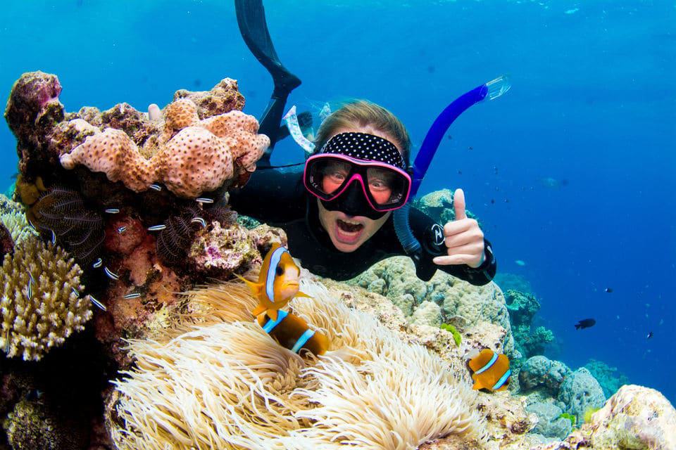 Excursión de snorkel de lujo en la Gran Barrera de Coral