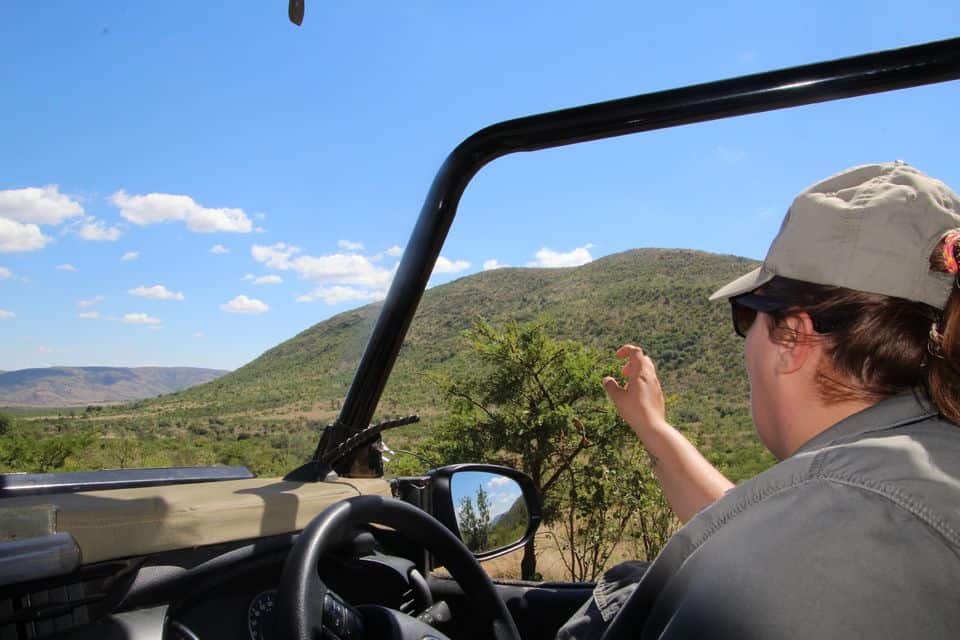 Safari del último día en Pilanesberg
