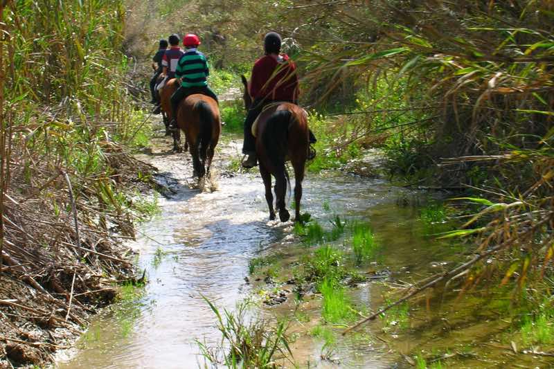 Rutas a caballo en Paphos