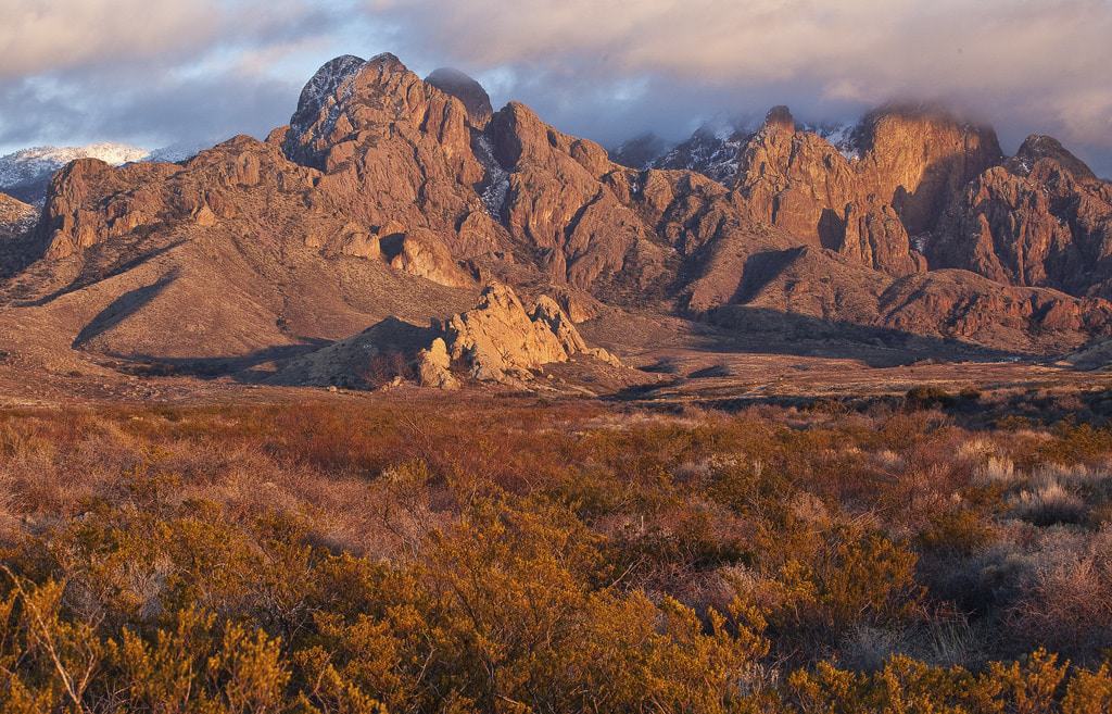 Monumento Nacional Montañas-Desert Peaks de Órganos
