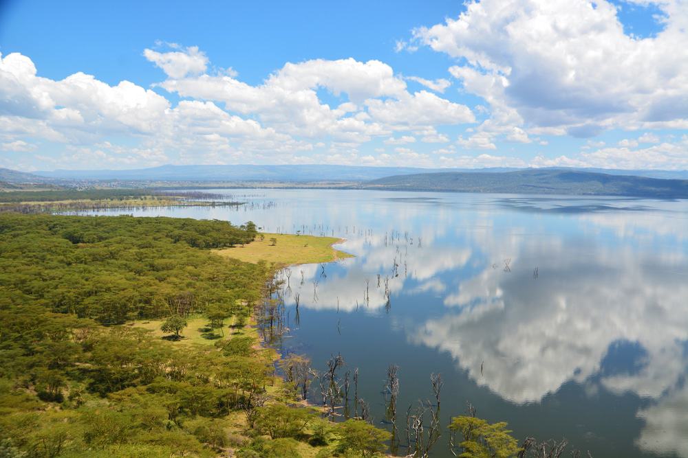 Lago Nakuru, Kenia