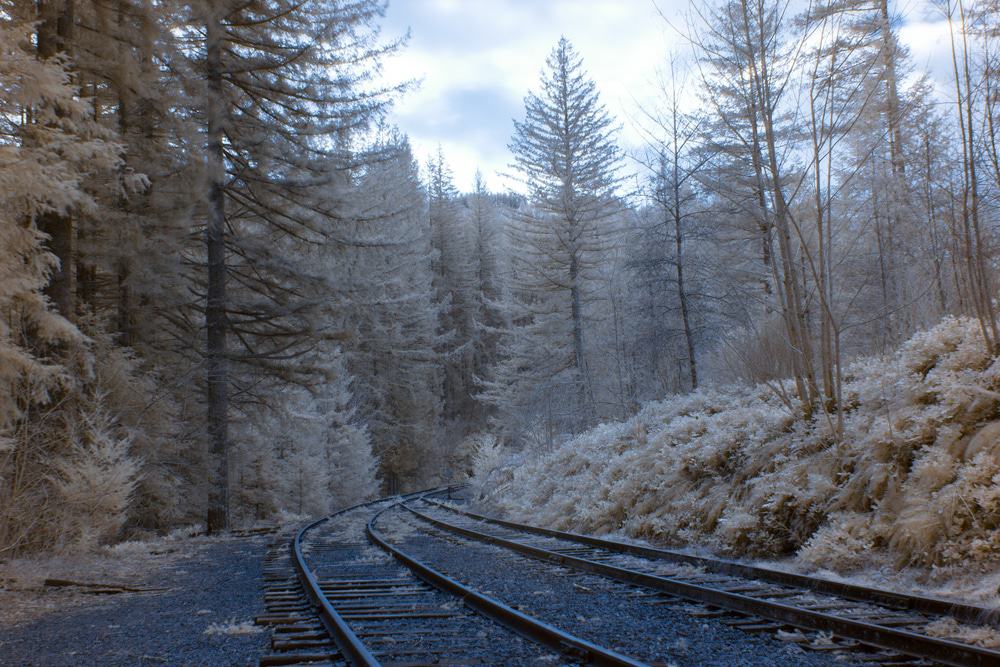 Chelatchie Prairie Railroad