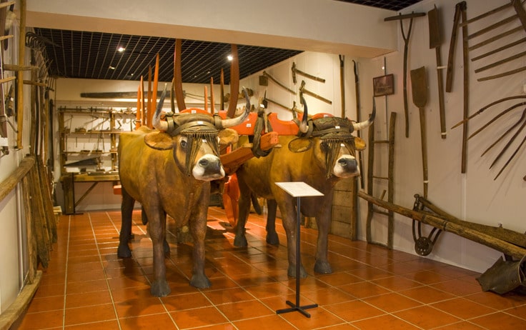 Museo Rural de Salselas