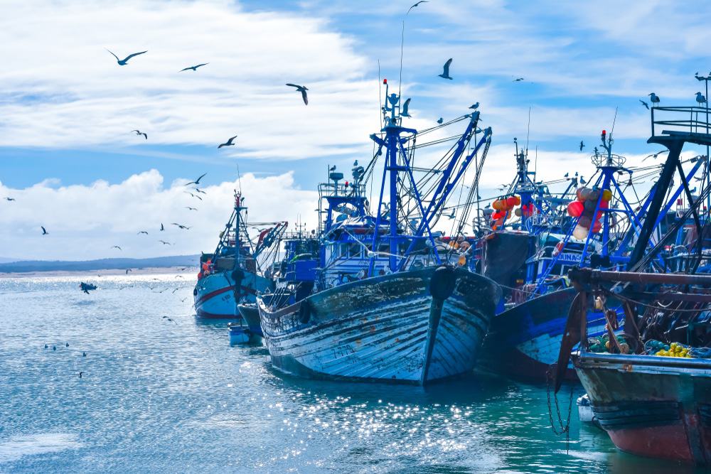 Puerto pesquero, Essaouira