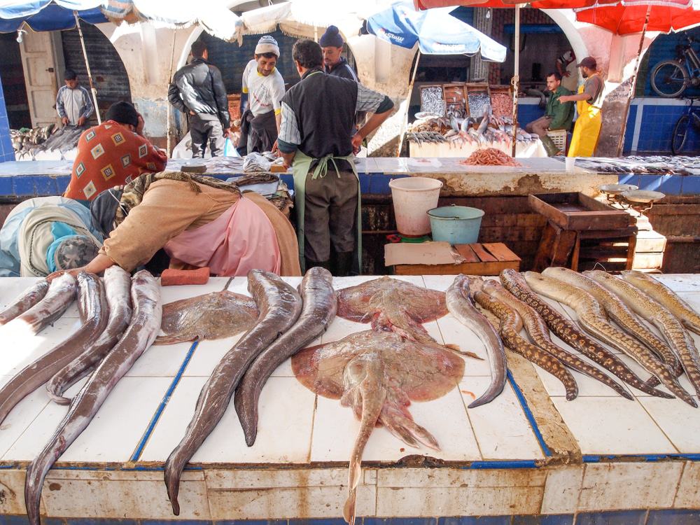Mercado de pescado, Essaouira
