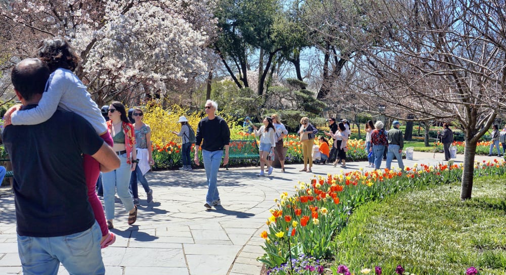 Dallas Arboretum y Jardín Botánico