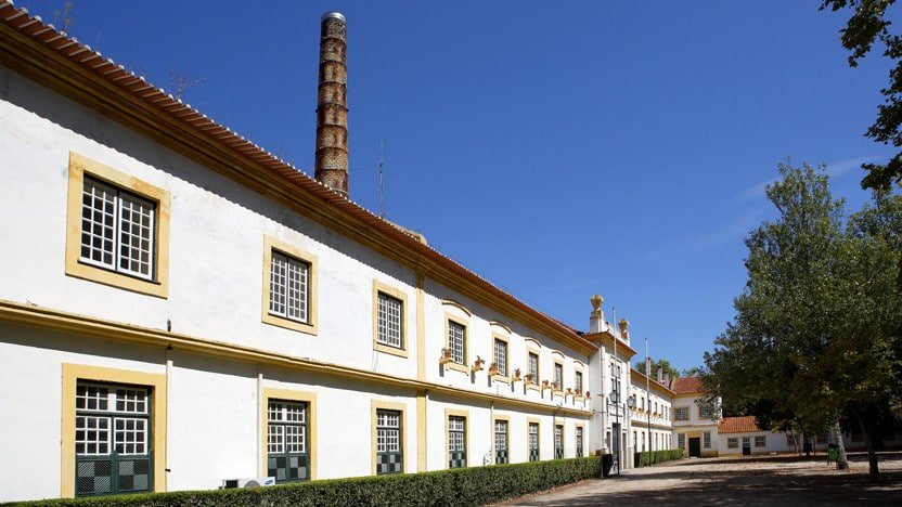 Museo Vista Alegre