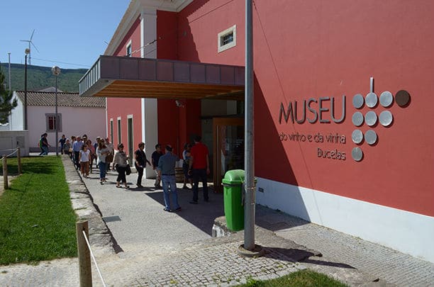 Museo Do Vinho E Da Vinha