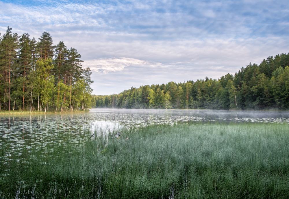 Parque Nacional de Nuuksio, Finlandia