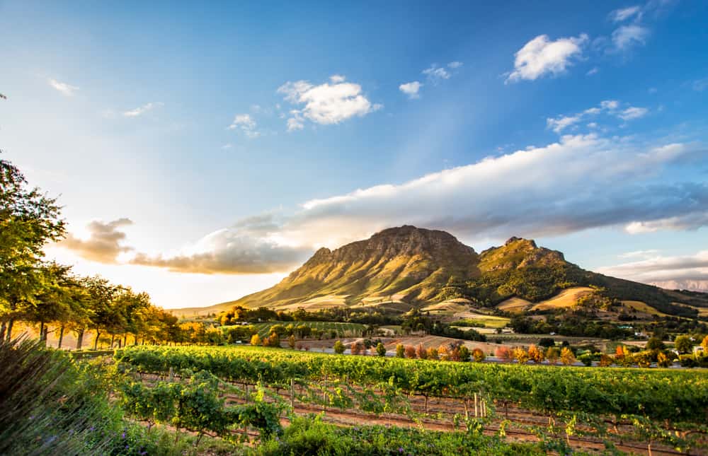 Región vinícola de Stellenbosch