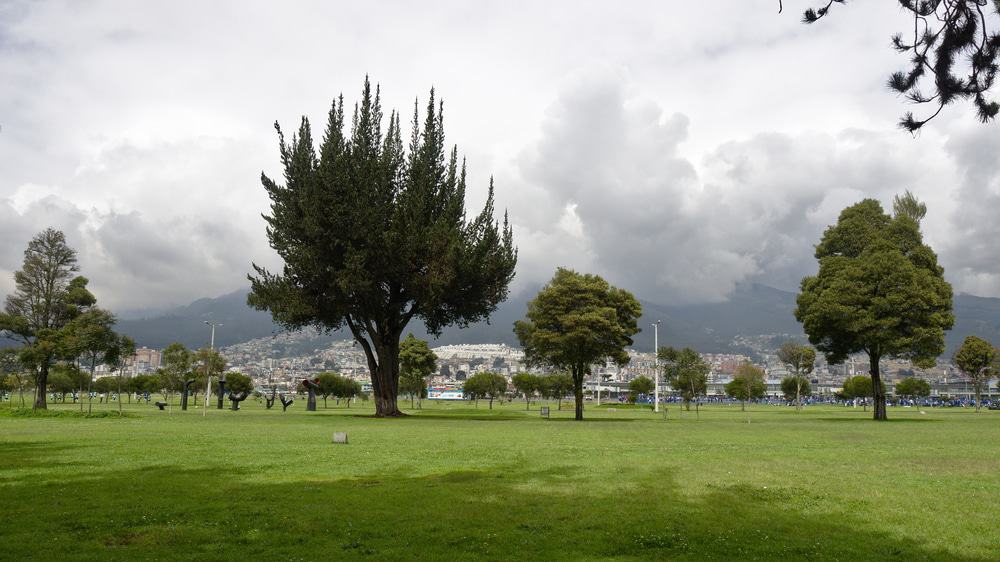 Parque Bicentenario, Quito