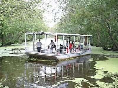 Louisiana Plantation & Swamp Boat Bayou