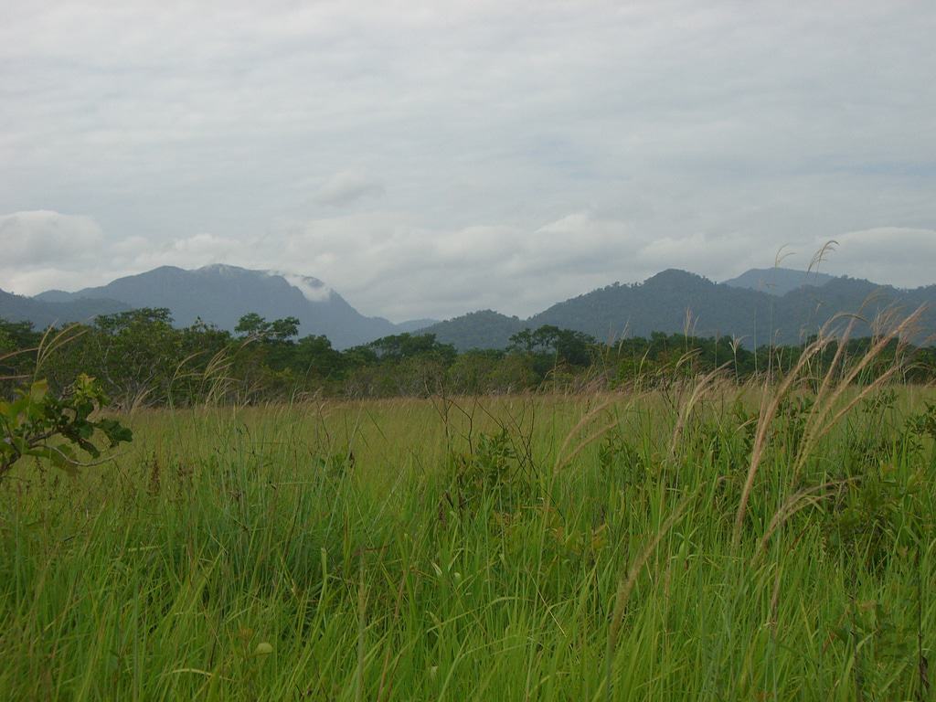 Kanuku Mountains