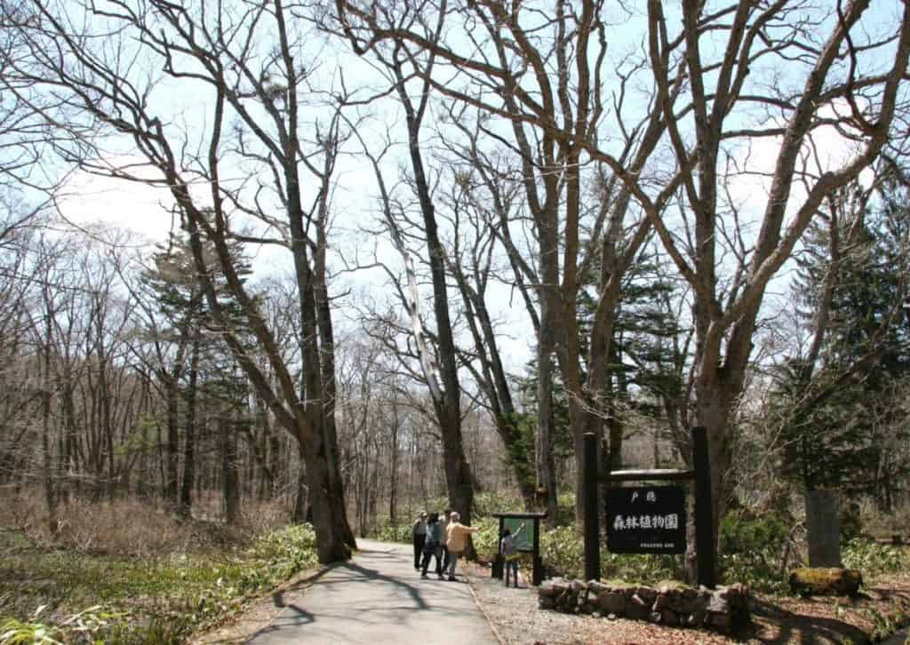 Togakushi Forest Botanical Garden